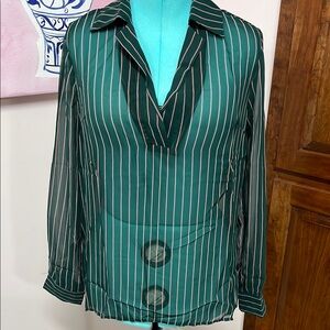 Lumiere Sheer Green and Red Pinstripe Blouse